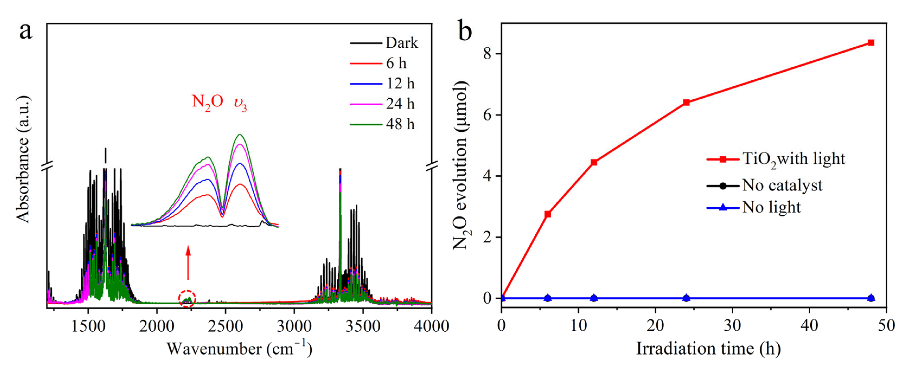 Catalysts 13 01310 g005 Catalysts 13 01310 g005