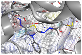 Catalysts 13 01311 i002