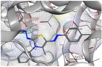 Catalysts 13 01311 i004