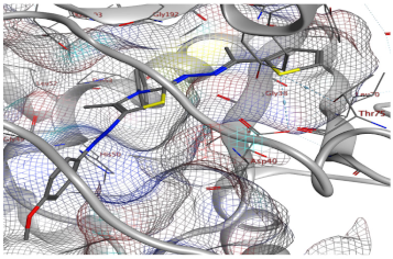 Catalysts 13 01311 i006