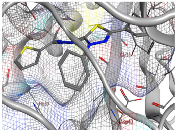 Catalysts 13 01311 i010