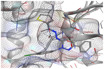 Catalysts 13 01311 i012