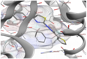 Catalysts 13 01311 i014