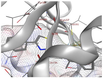 Catalysts 13 01311 i016