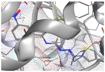 Catalysts 13 01311 i018