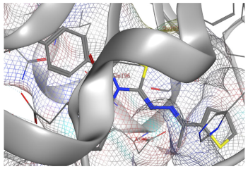 Catalysts 13 01311 i022