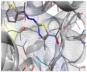 Catalysts 13 01311 i028