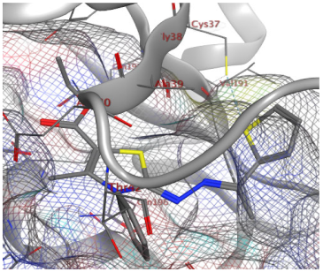 Catalysts 13 01311 i030