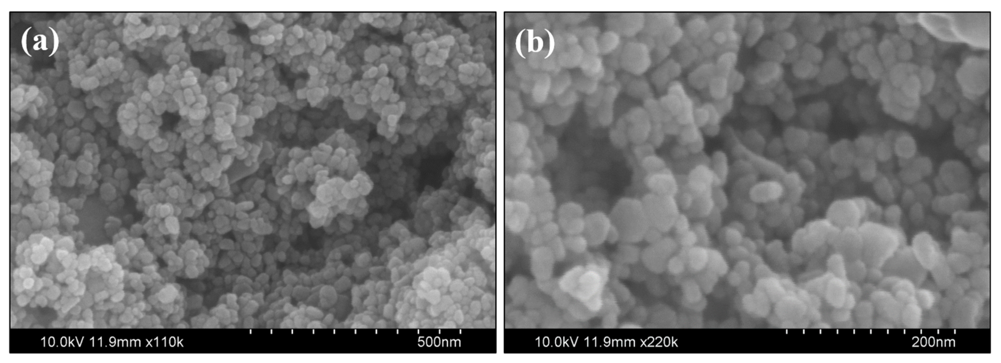 Catalysts 13 01312 g002