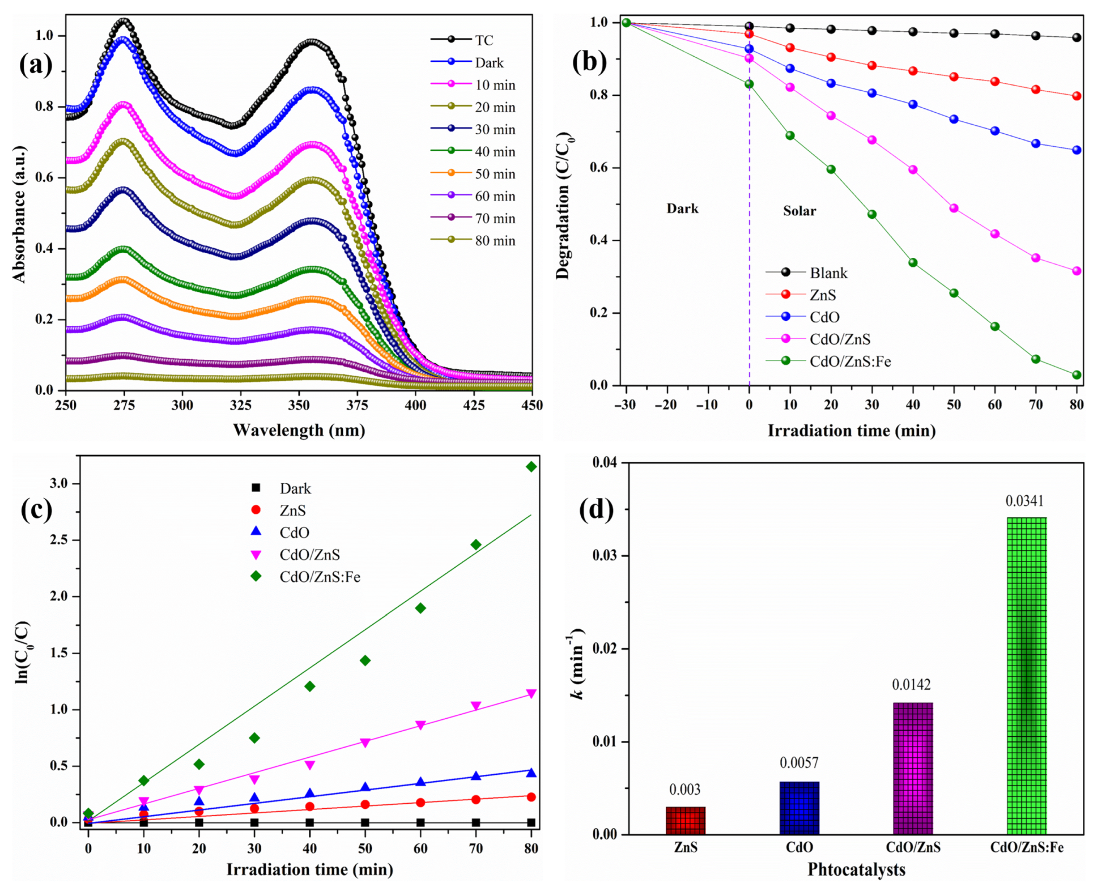 Catalysts 13 01312 g008