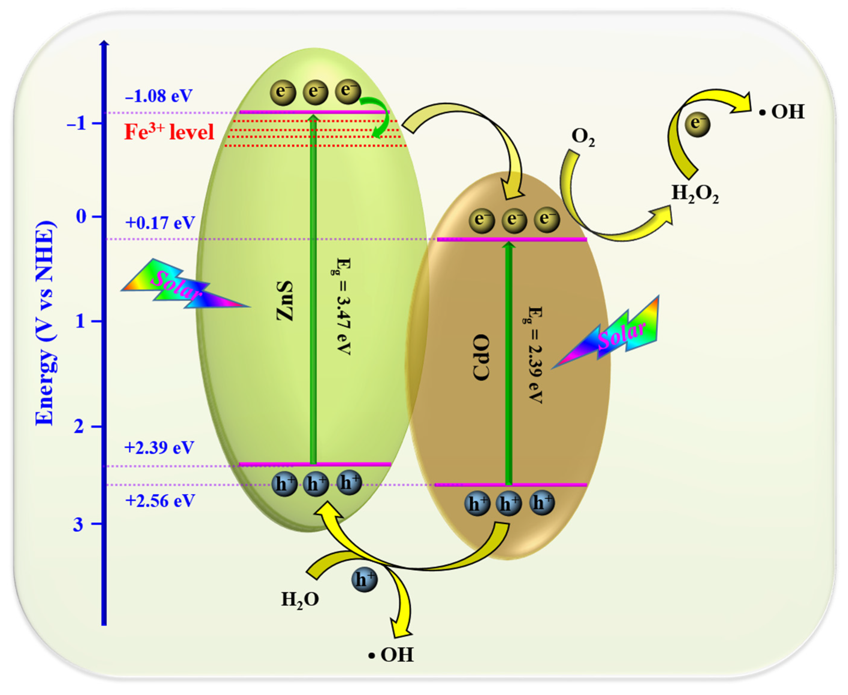 Catalysts 13 01312 g010