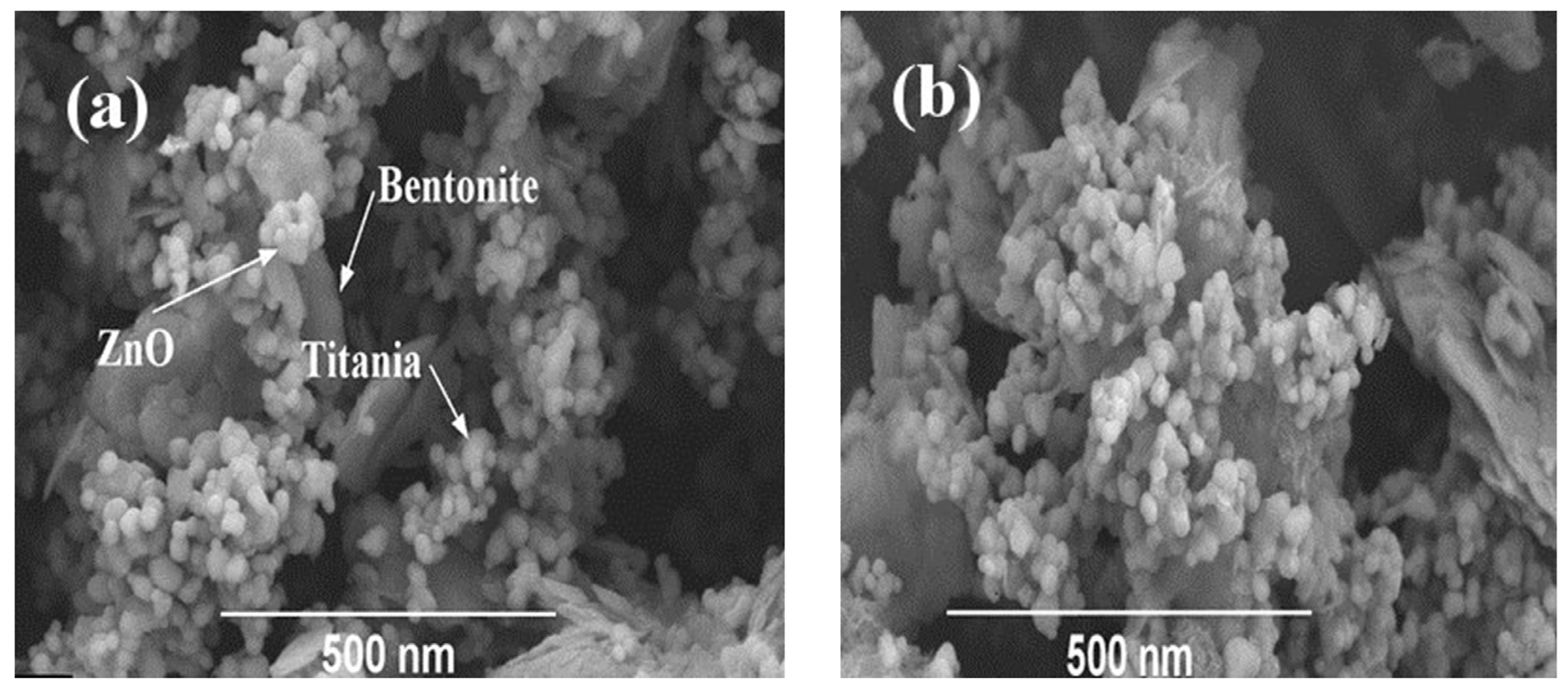 Catalysts 13 01315 g002