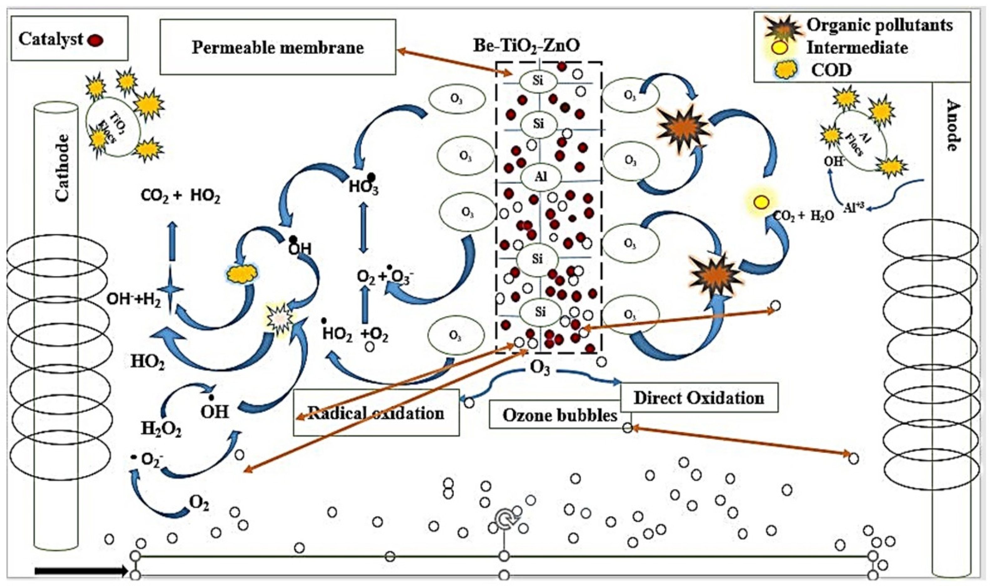 Catalysts 13 01315 g012