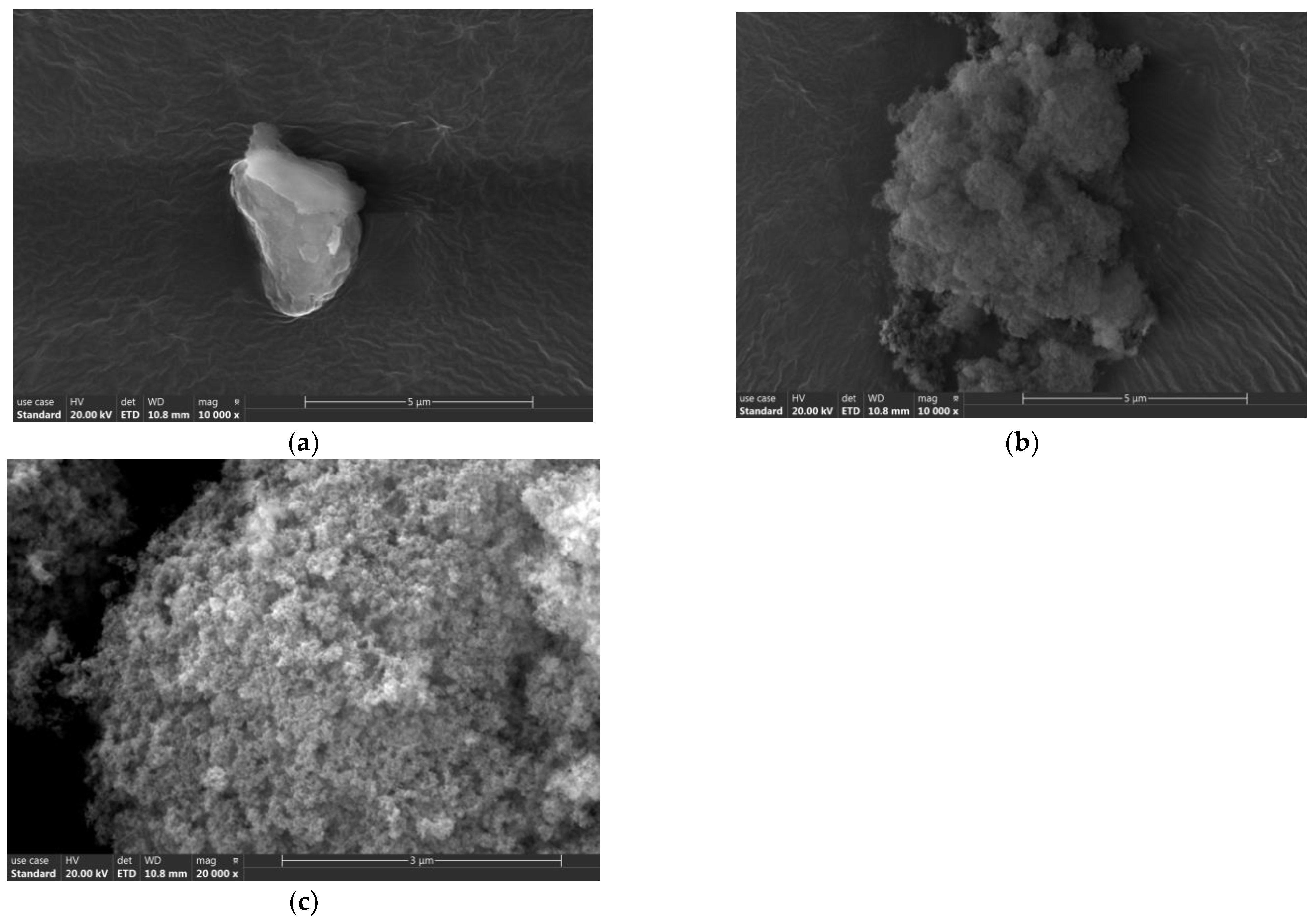 Catalysts 13 01318 g002