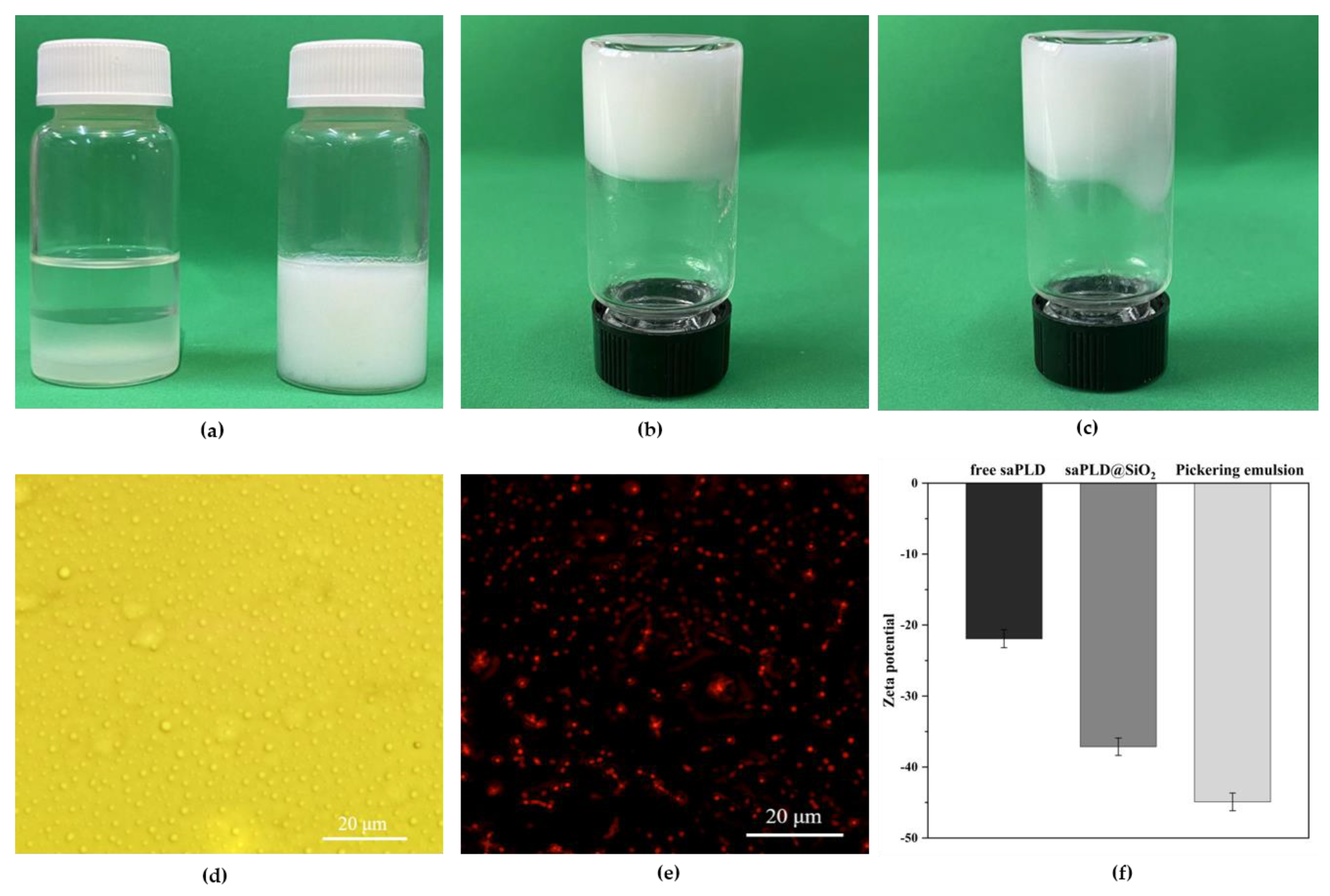 Catalysts 13 01318 g009