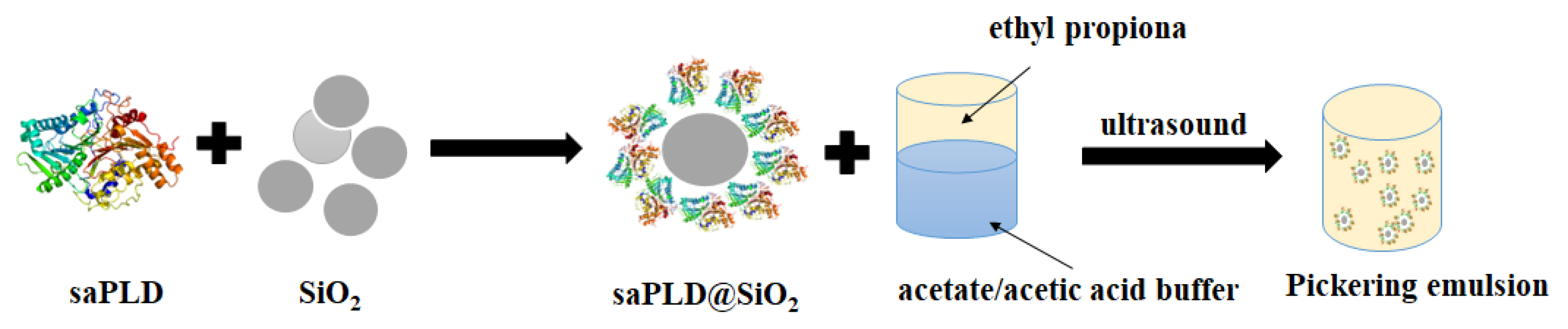 Catalysts 13 01318 sch001