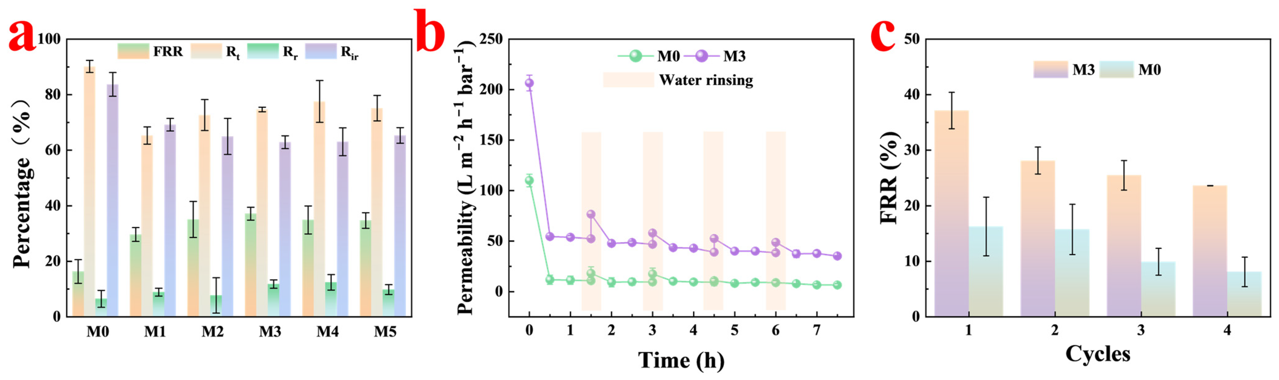 Catalysts 13 01320 g006