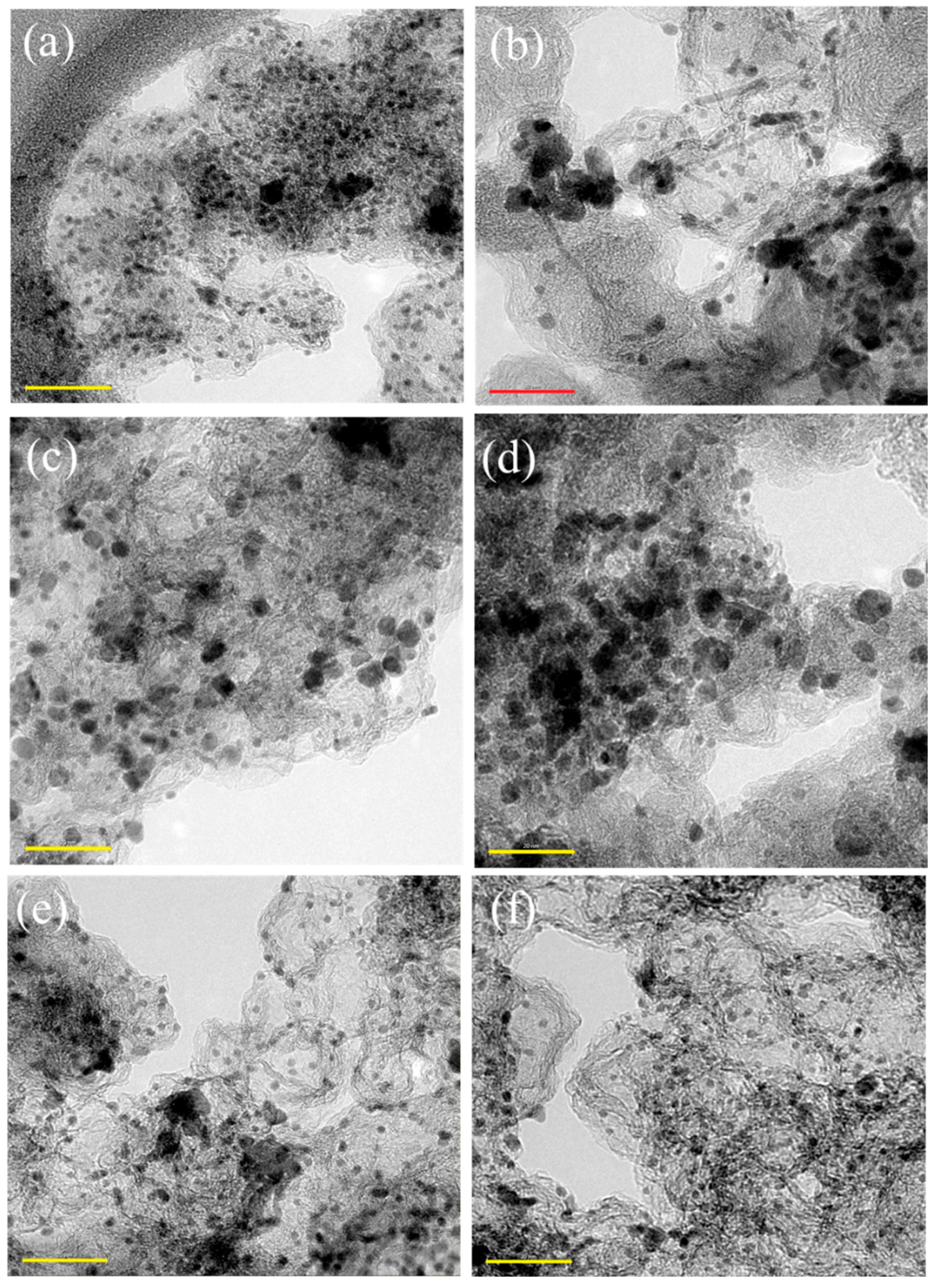 Catalysts 13 01322 g002