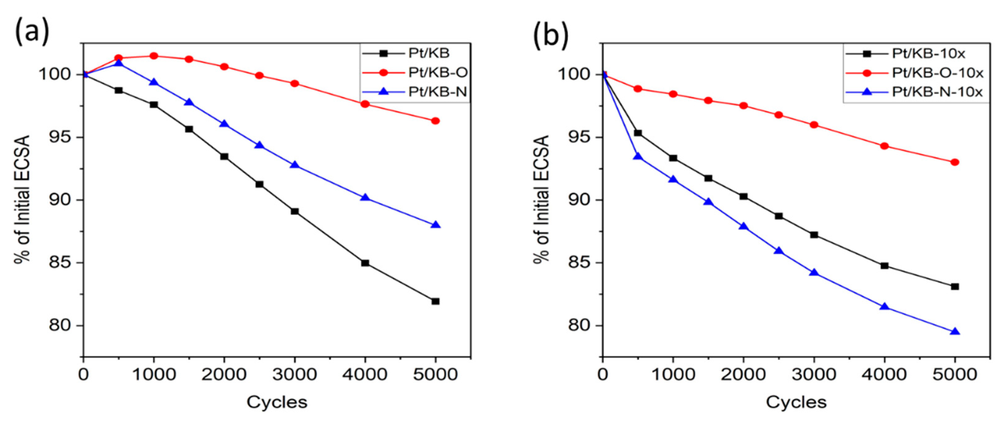 Catalysts 13 01322 g007