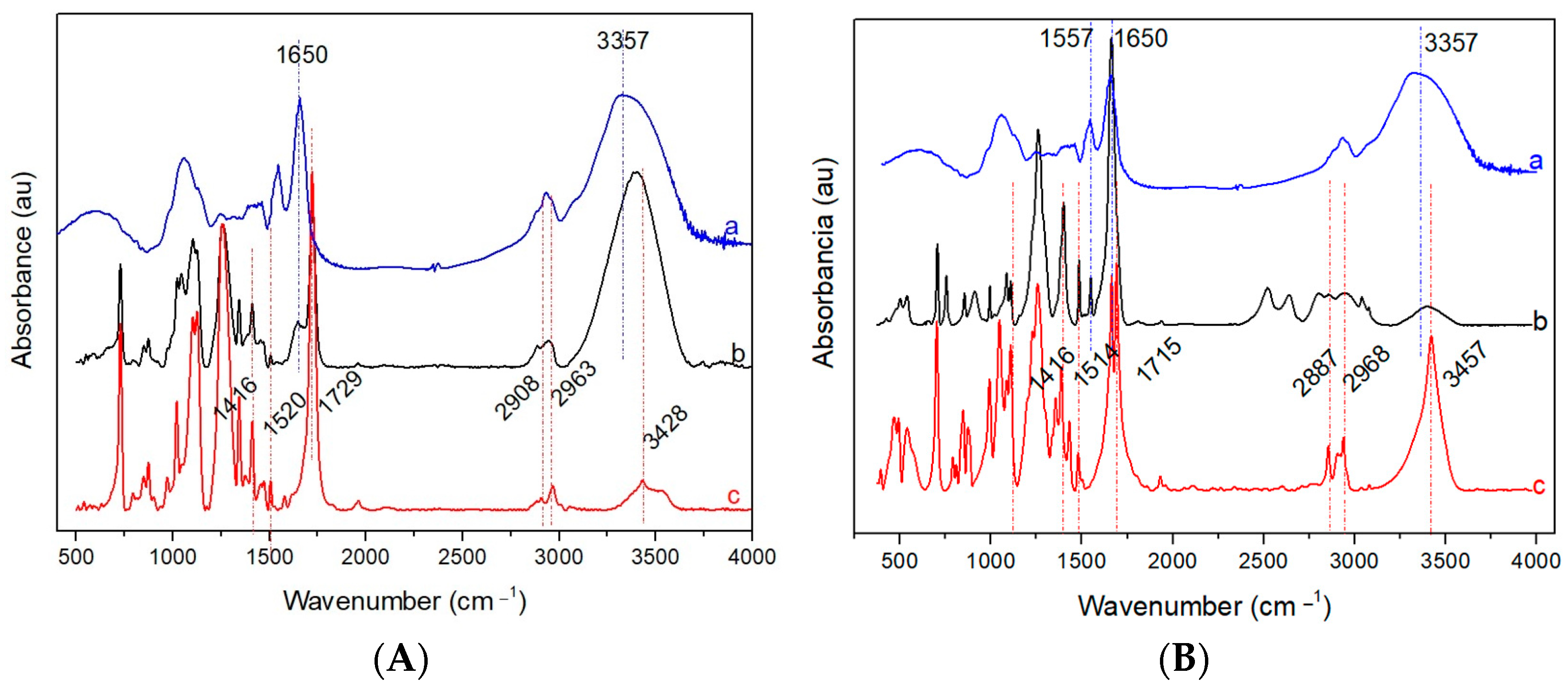 Catalysts 13 01324 g002