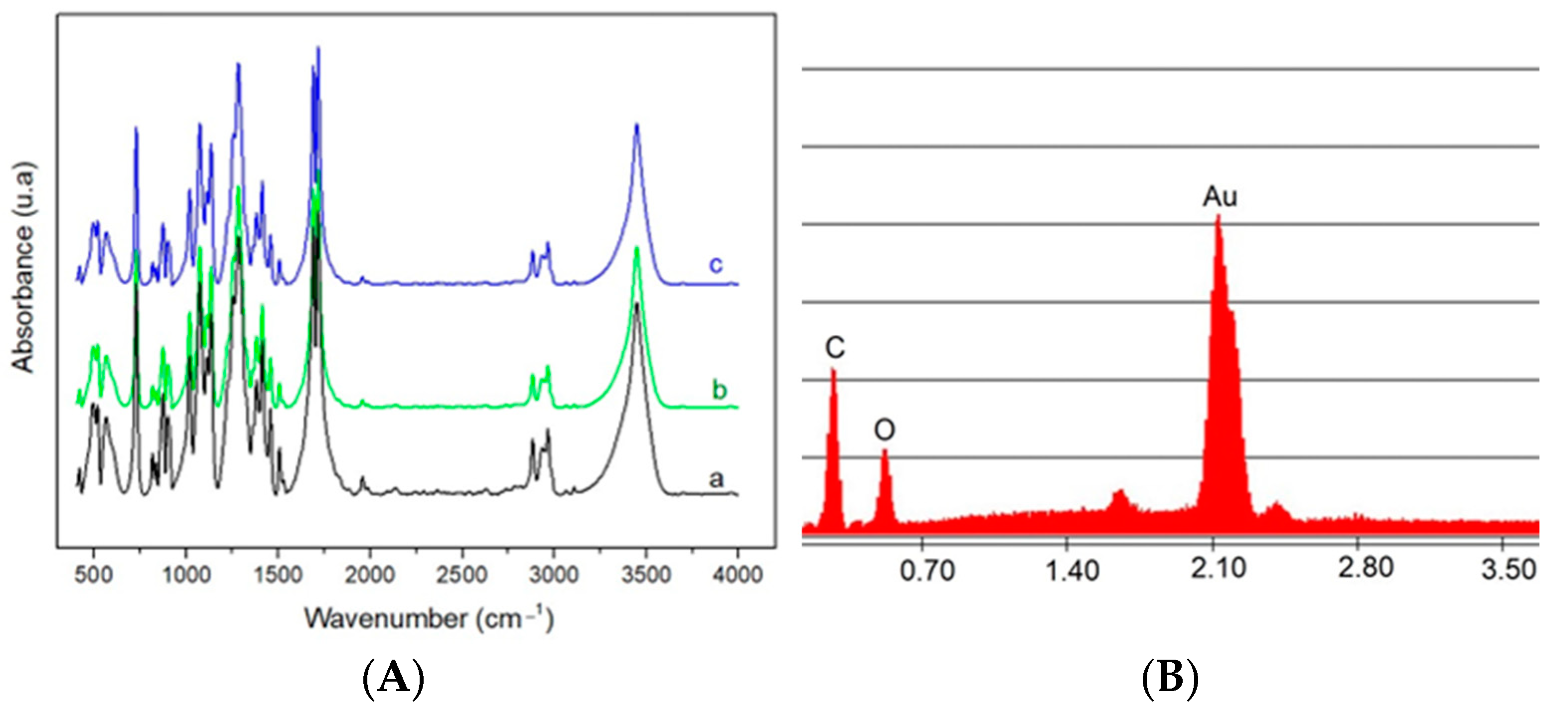 Catalysts 13 01324 g008
