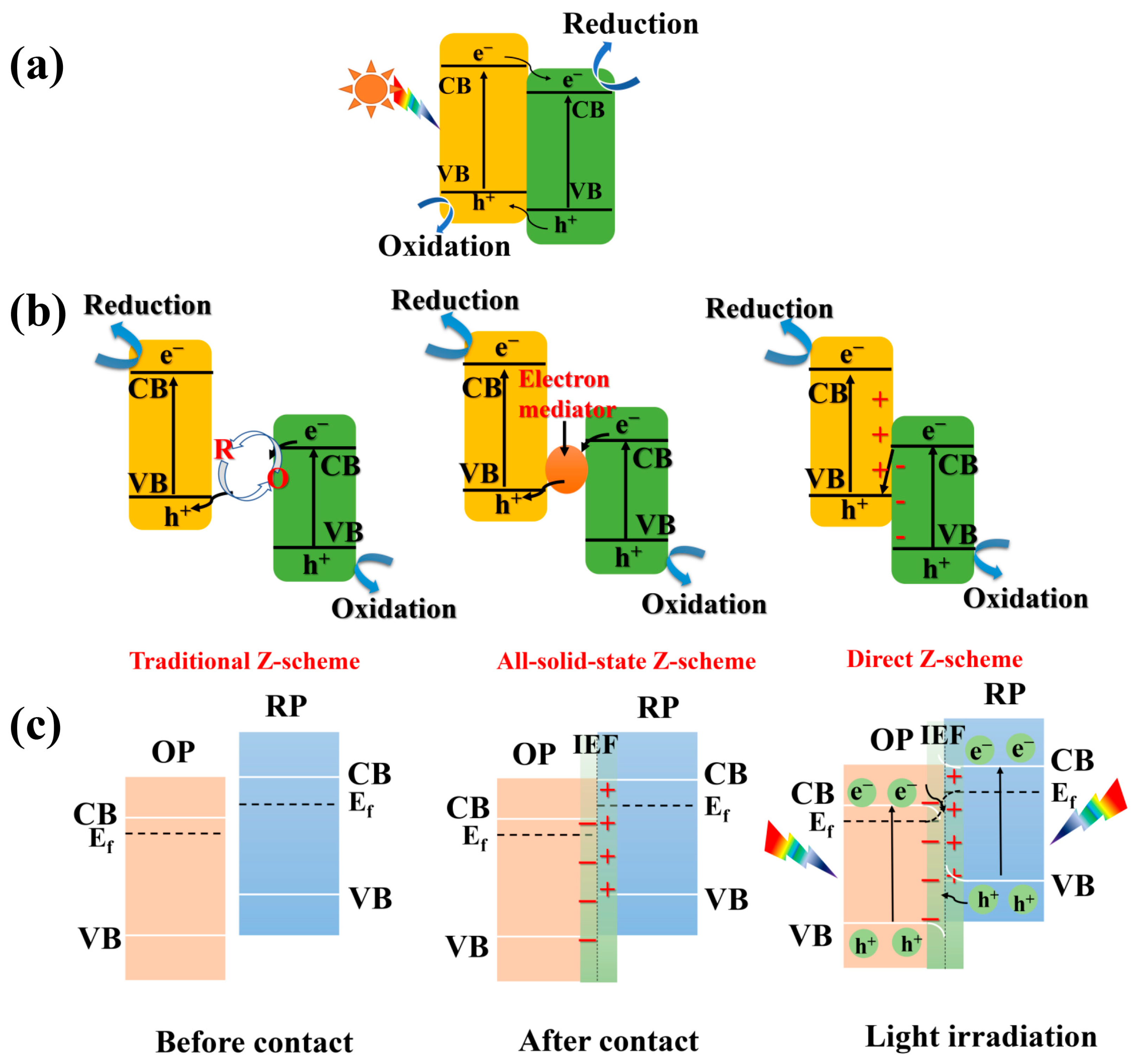 Catalysts 13 01325 g003