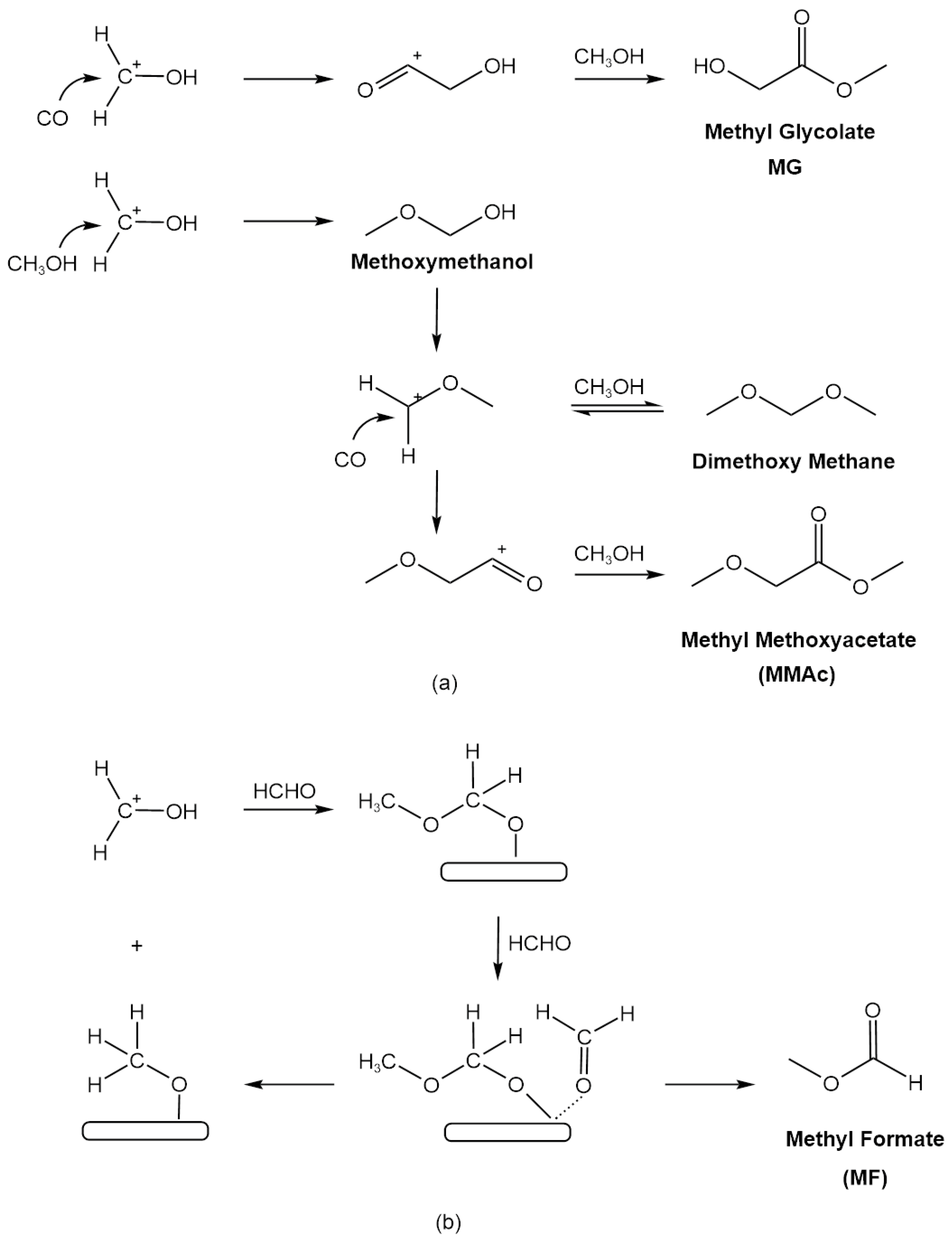 Catalysts 13 01327 g007