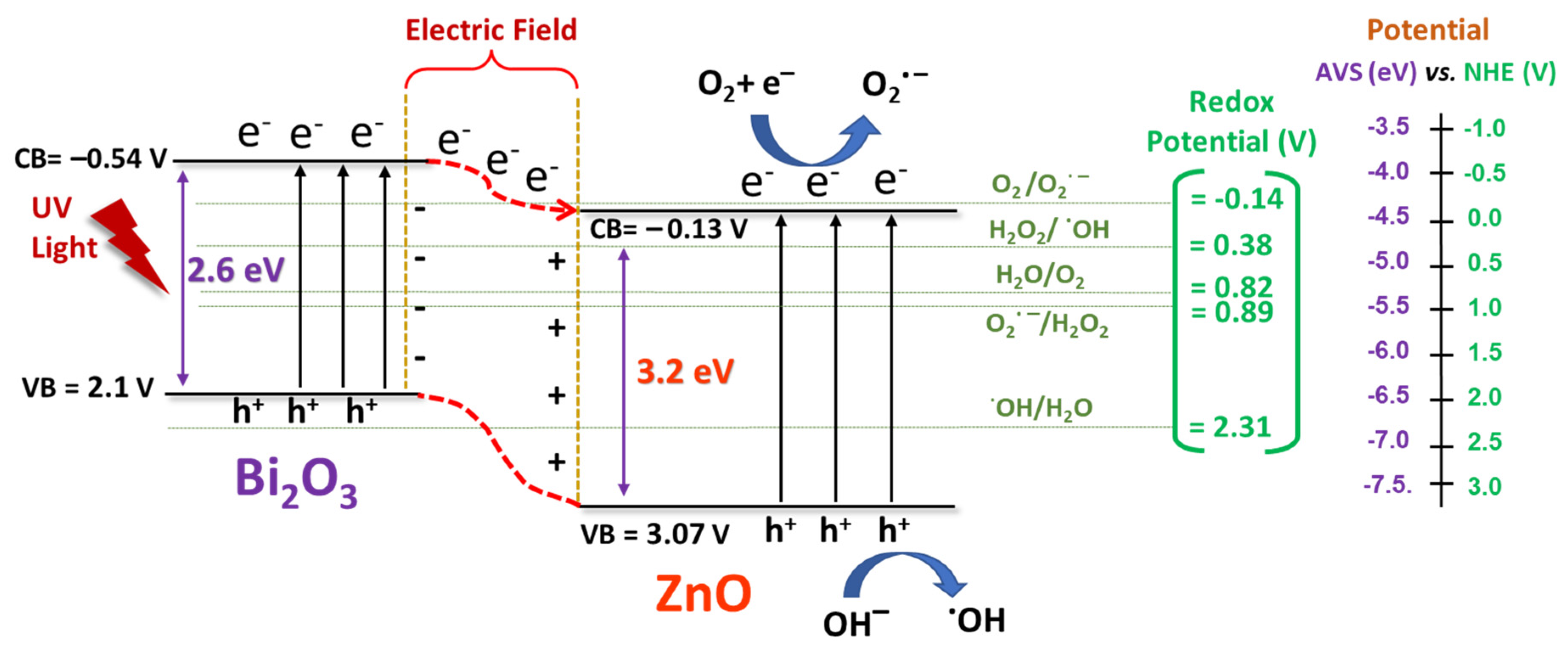 Catalysts 13 01328 g011
