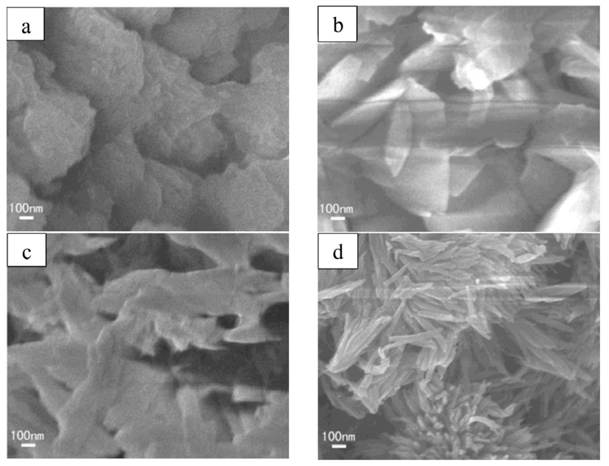 Catalysts 13 01335 g003