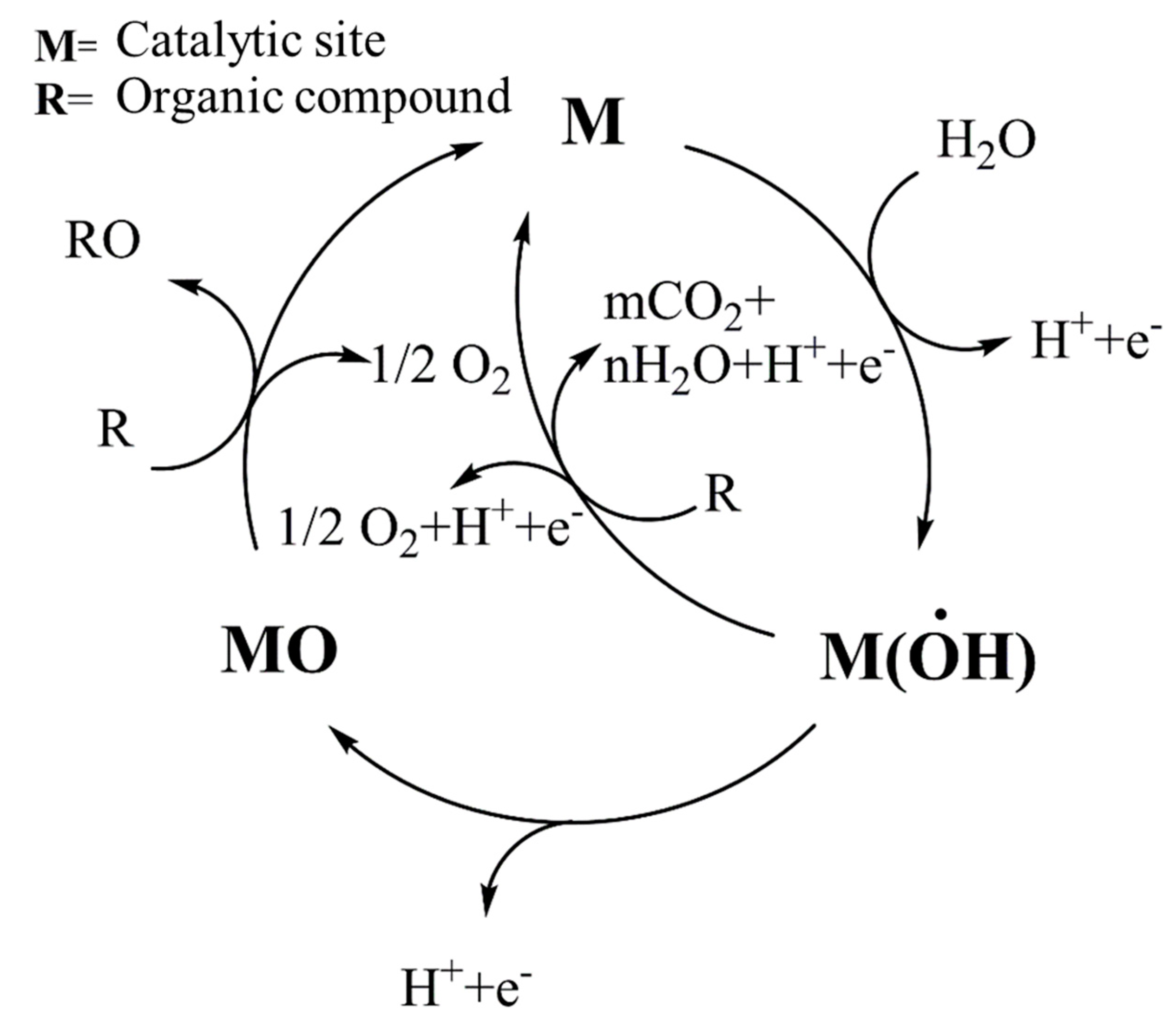 Catalysts 13 01336 g004