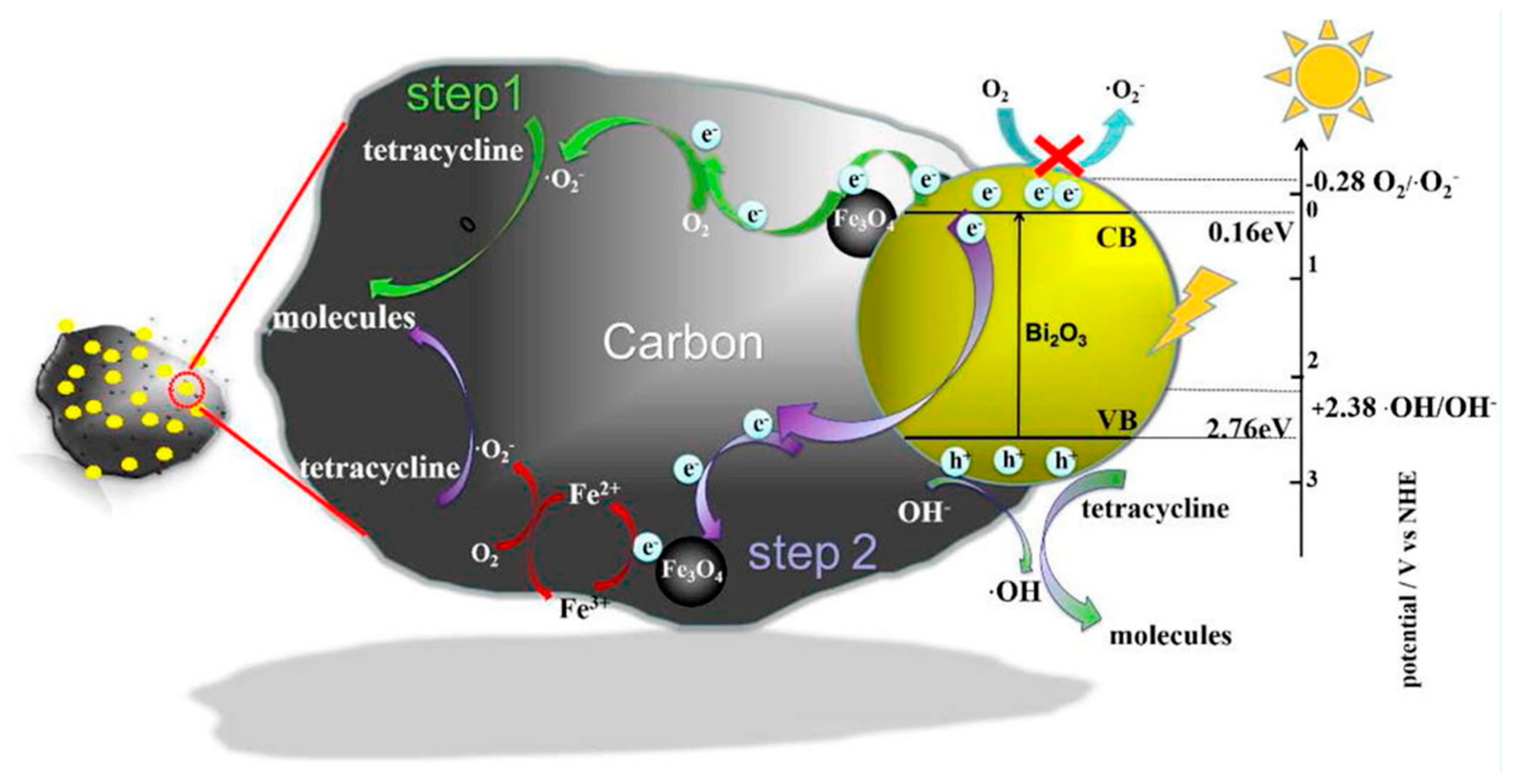 Catalysts 13 01336 g005