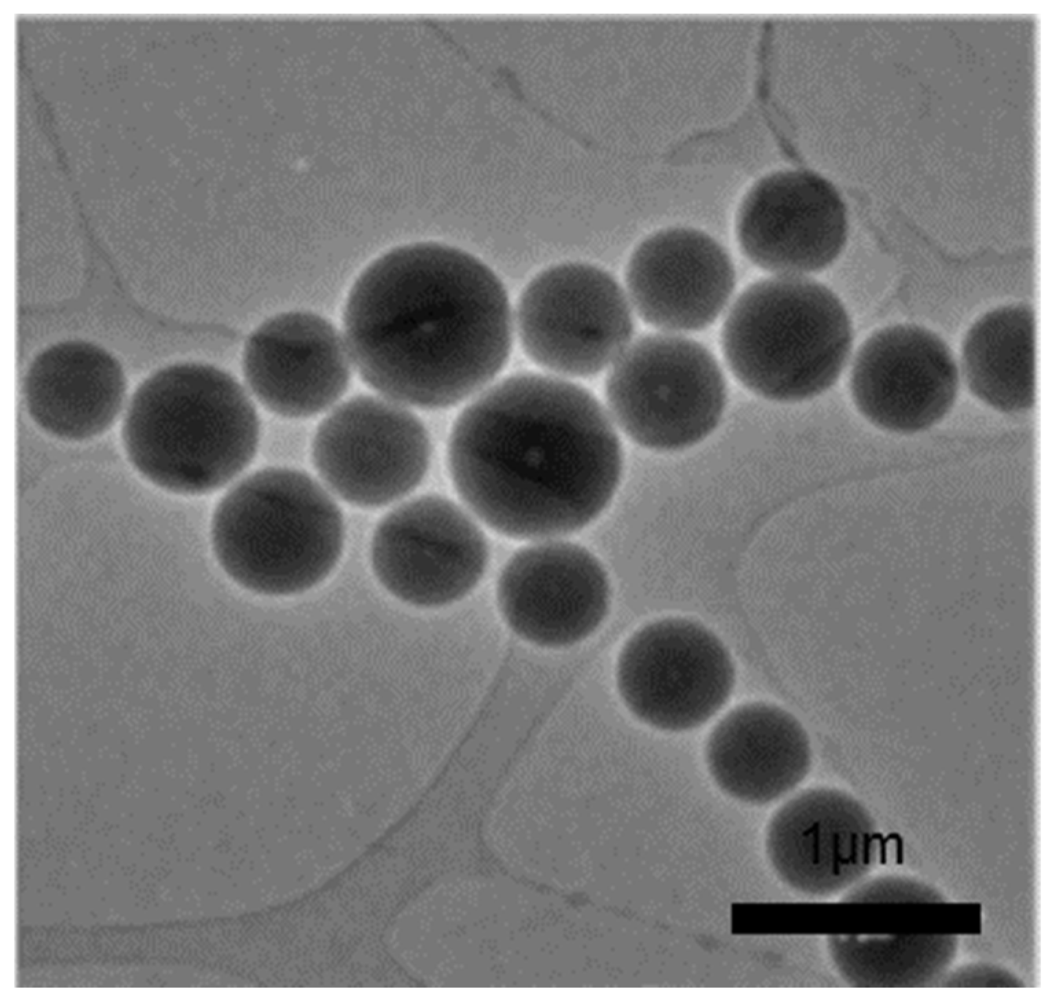 Catalysts 13 01341 g003