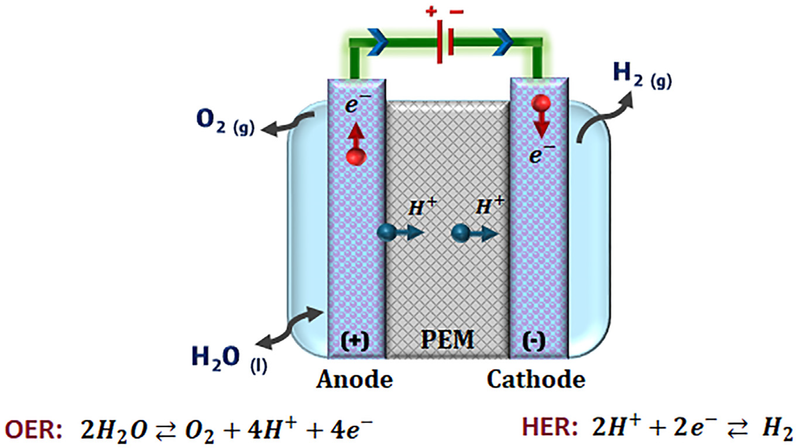 Catalysts 13 01346 g001
