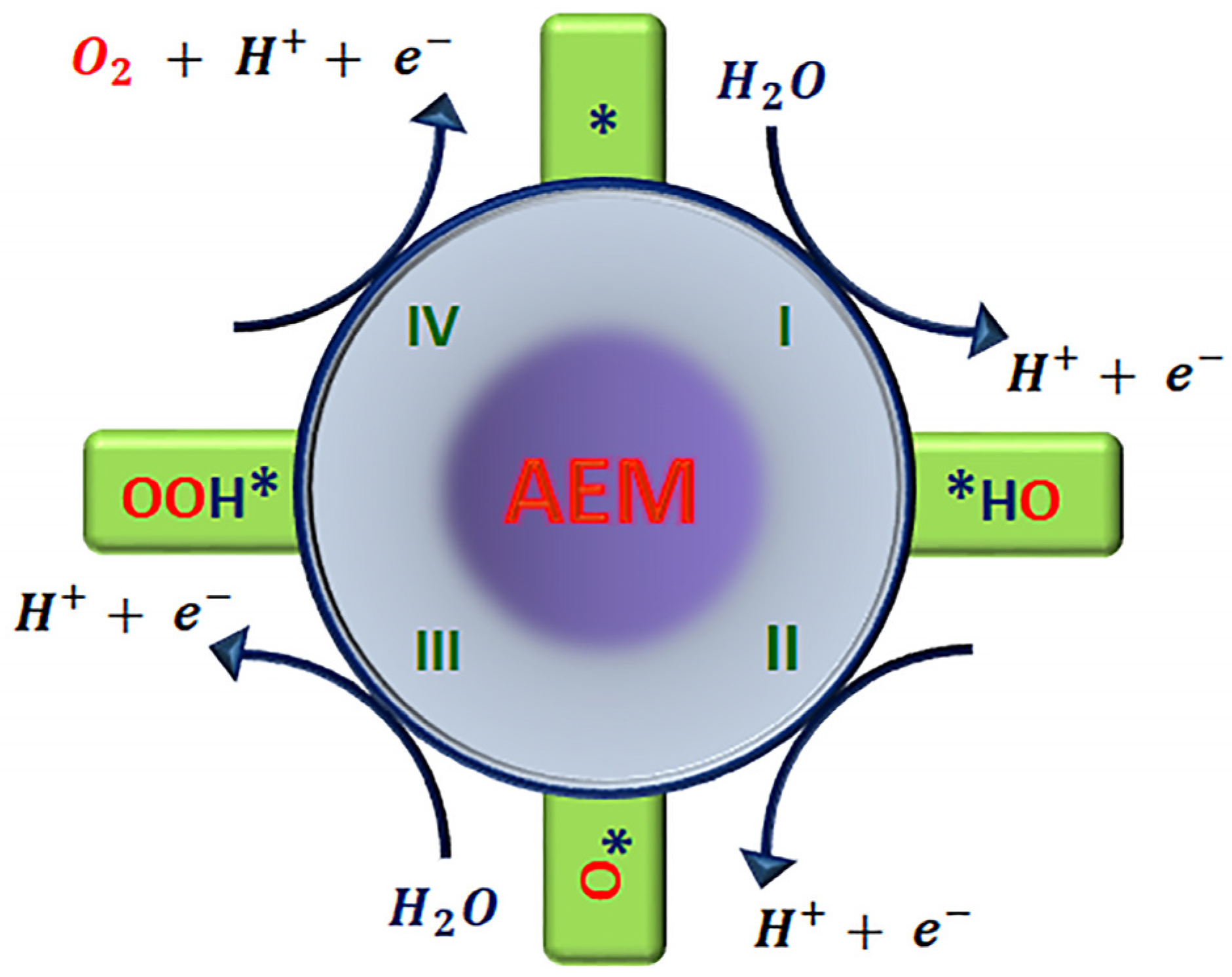 Catalysts 13 01346 g002