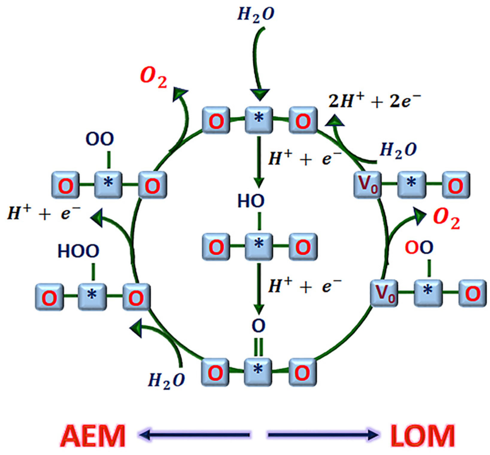 Catalysts 13 01346 g007