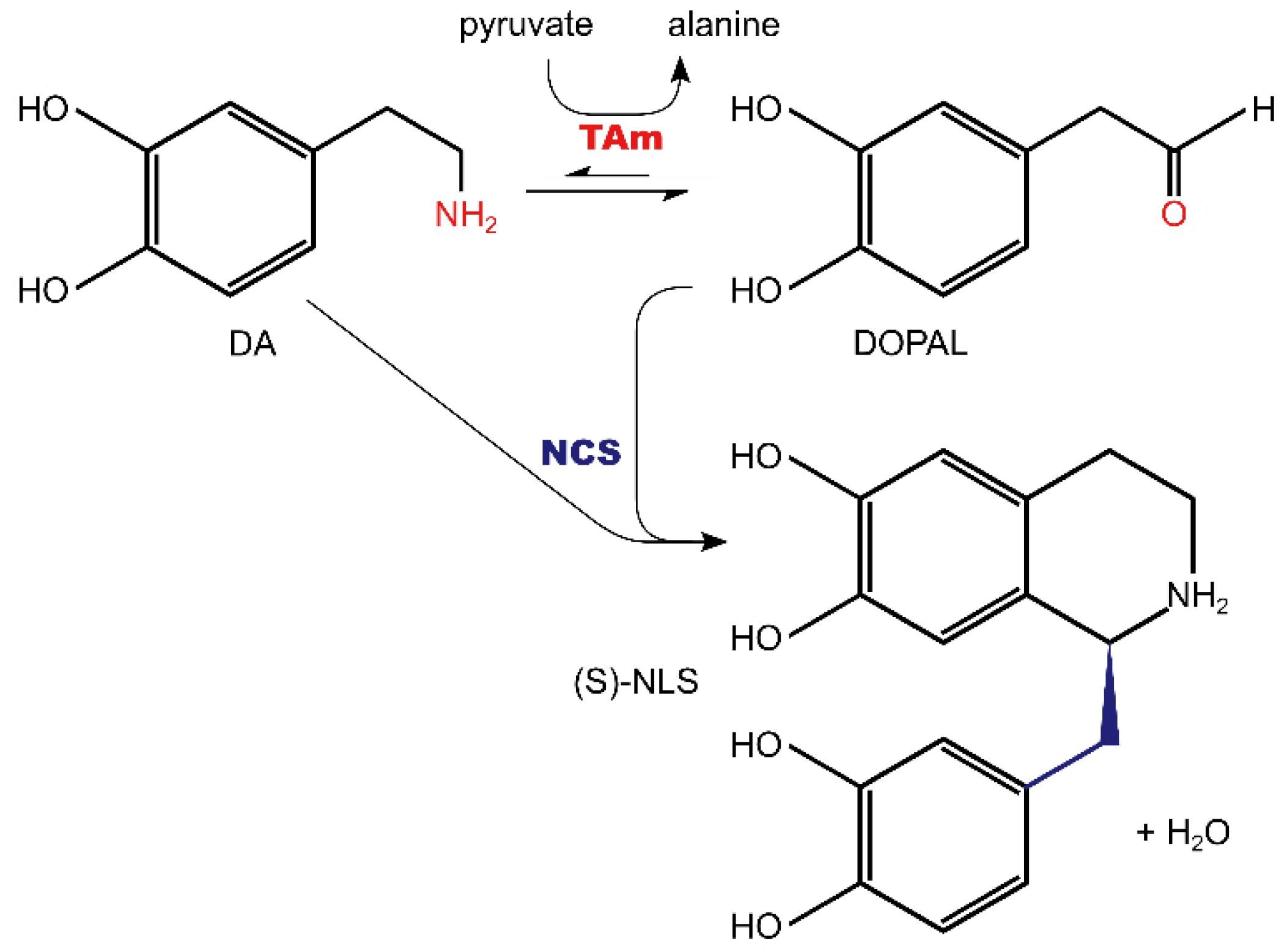Catalysts 13 01347 sch001