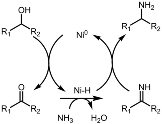 The Acquisition of Primary Amines from Alcohols through