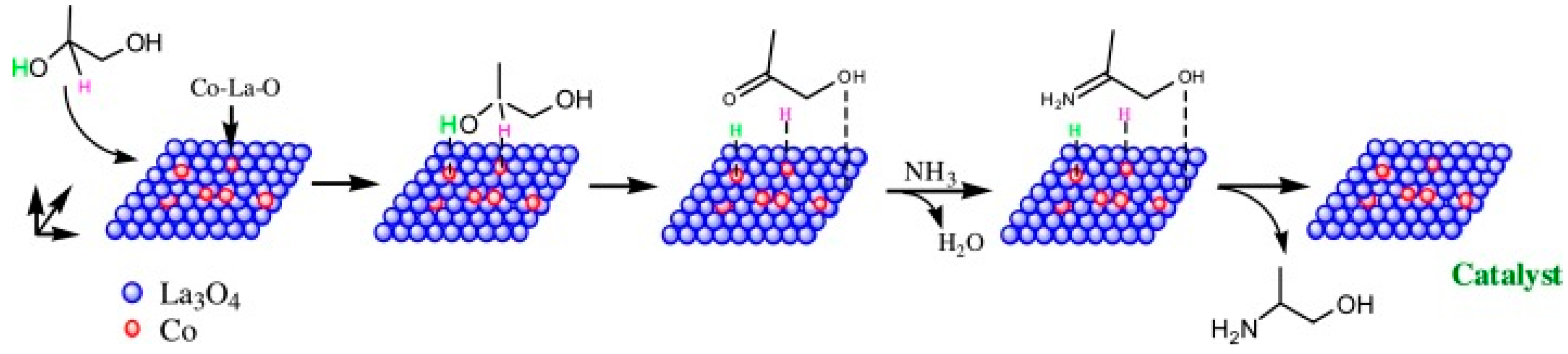 Catalysts 13 01350 g012