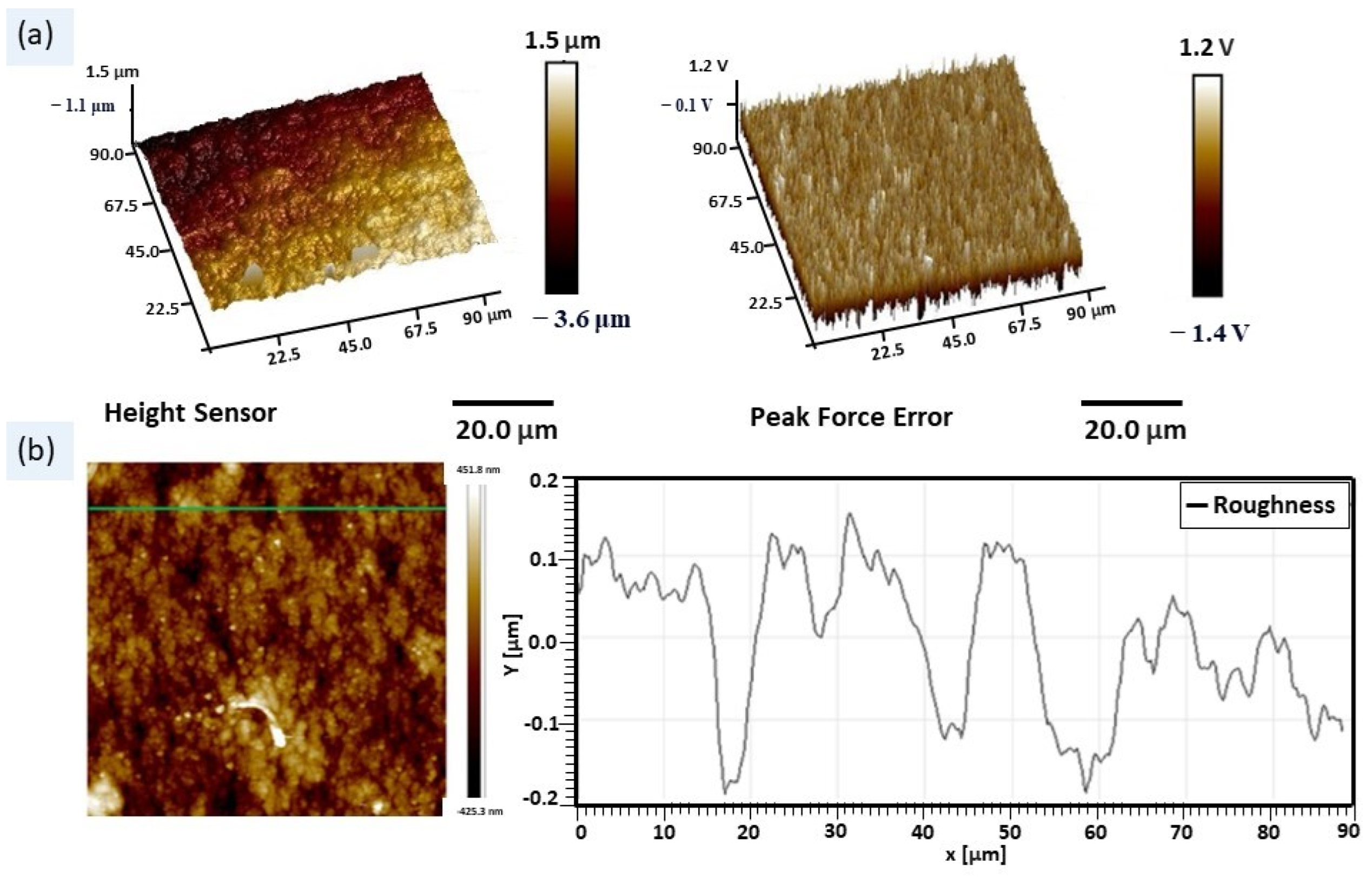 Catalysts 13 01351 g003