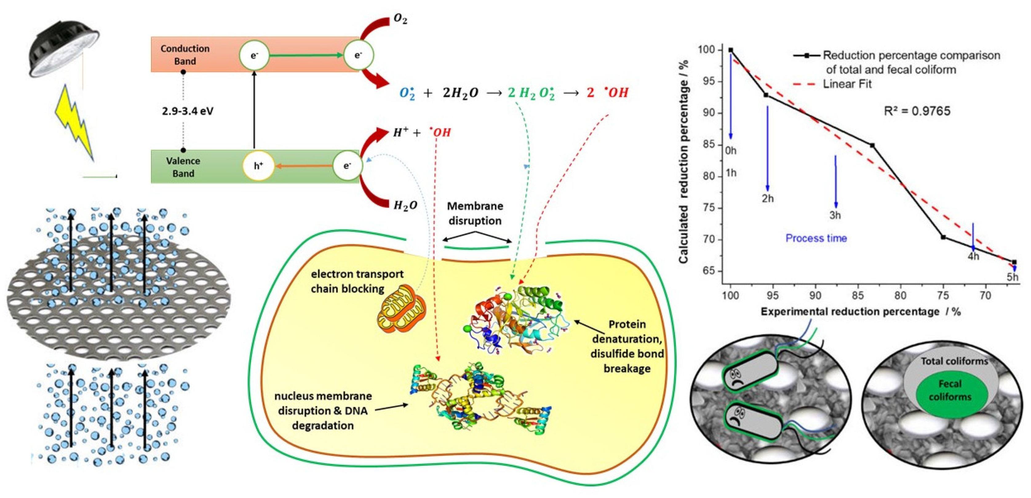 Catalysts 13 01351 g006