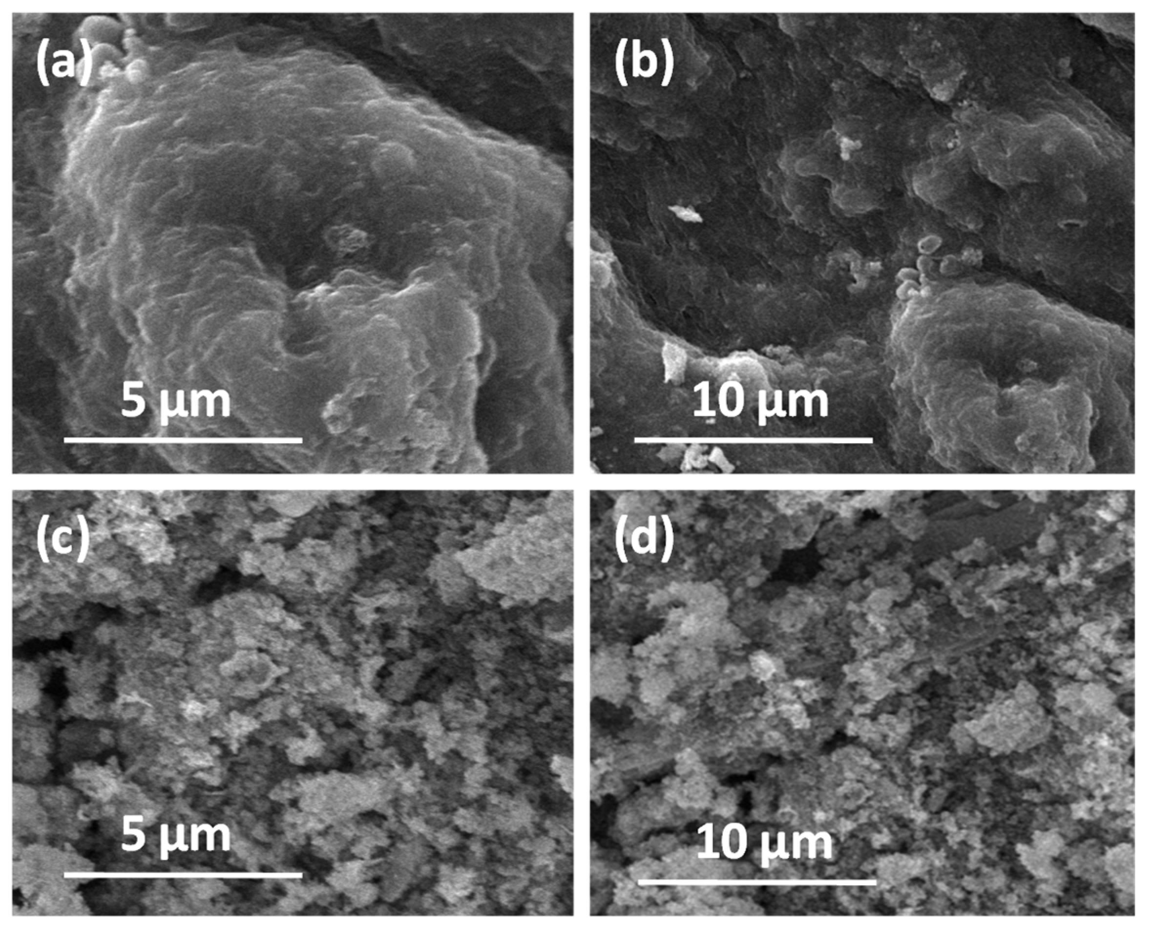 Catalysts 13 01352 g007
