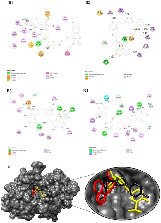Electrochemical Synthesis of Versatile Pyrimidine and