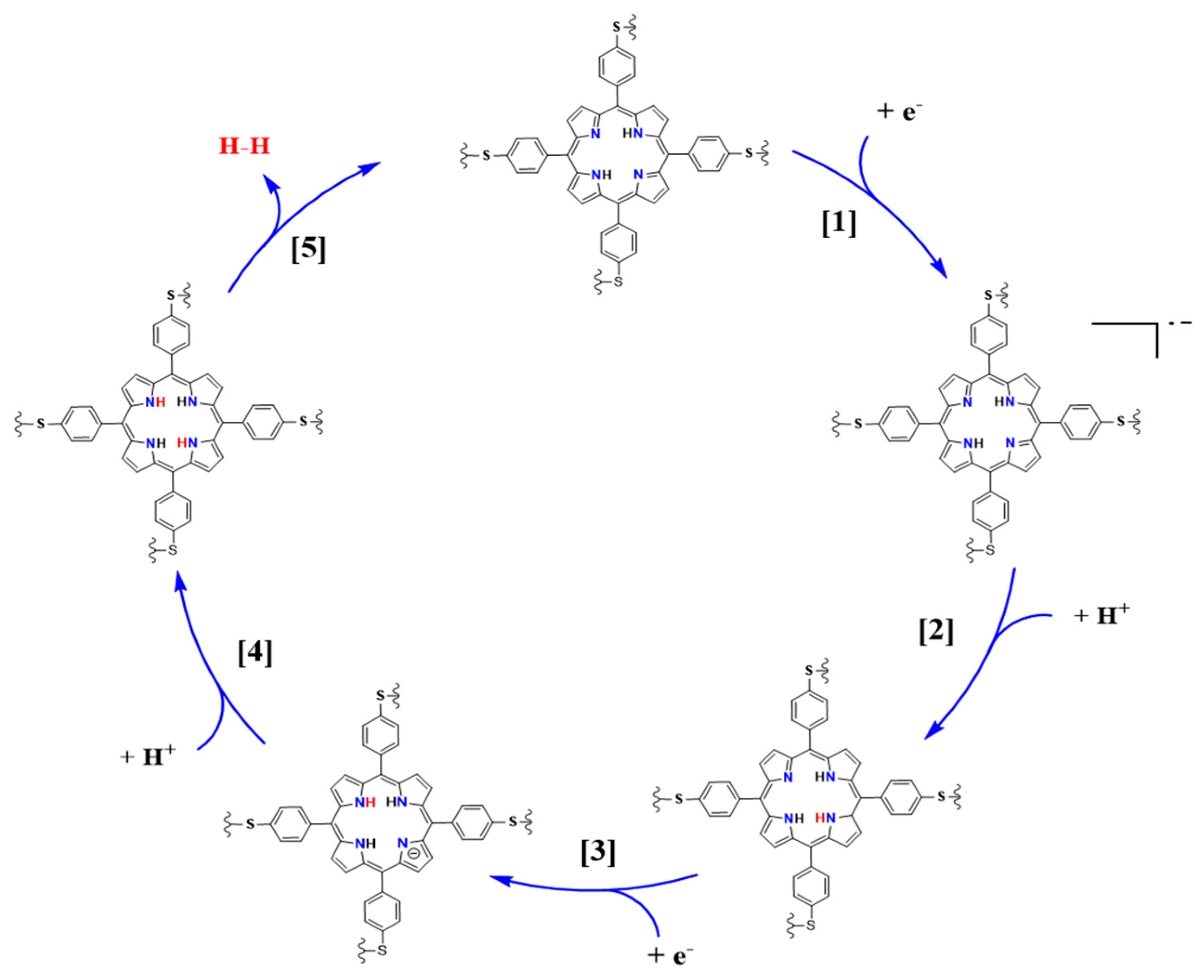 Catalysts 13 01355 sch002