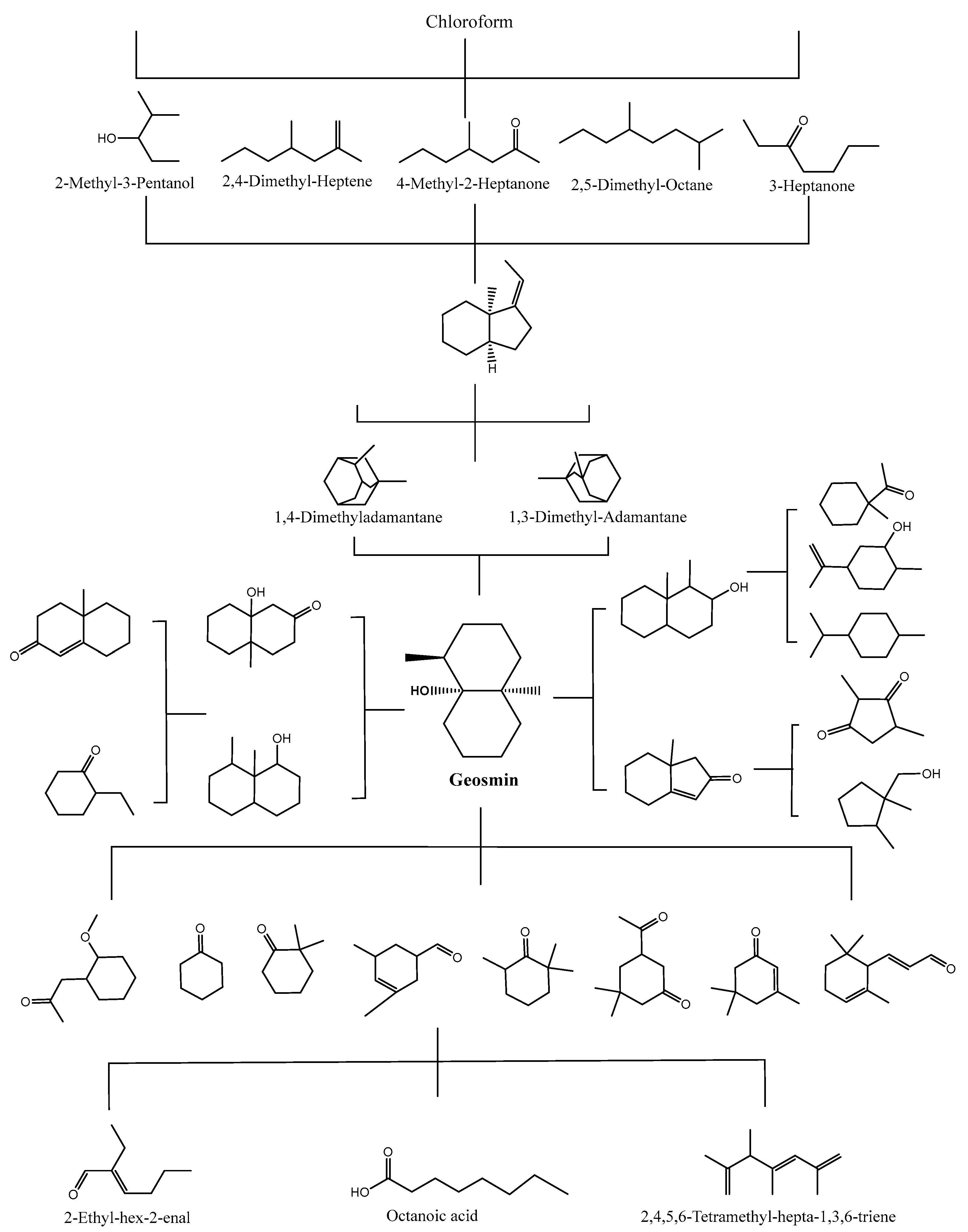 Removal of Taste and Odor Compounds from Water: Methods