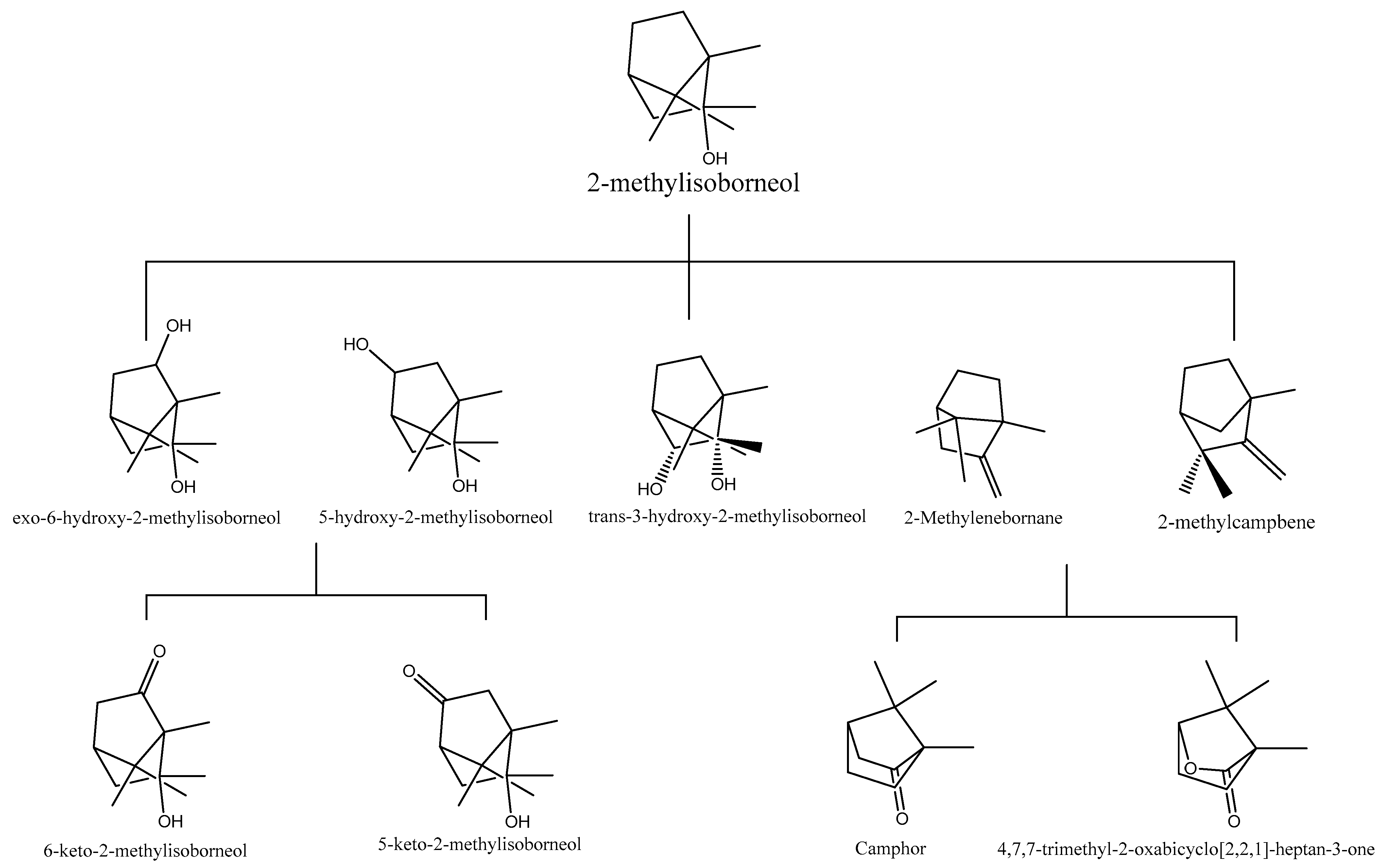 Catalysts 13 01356 g003