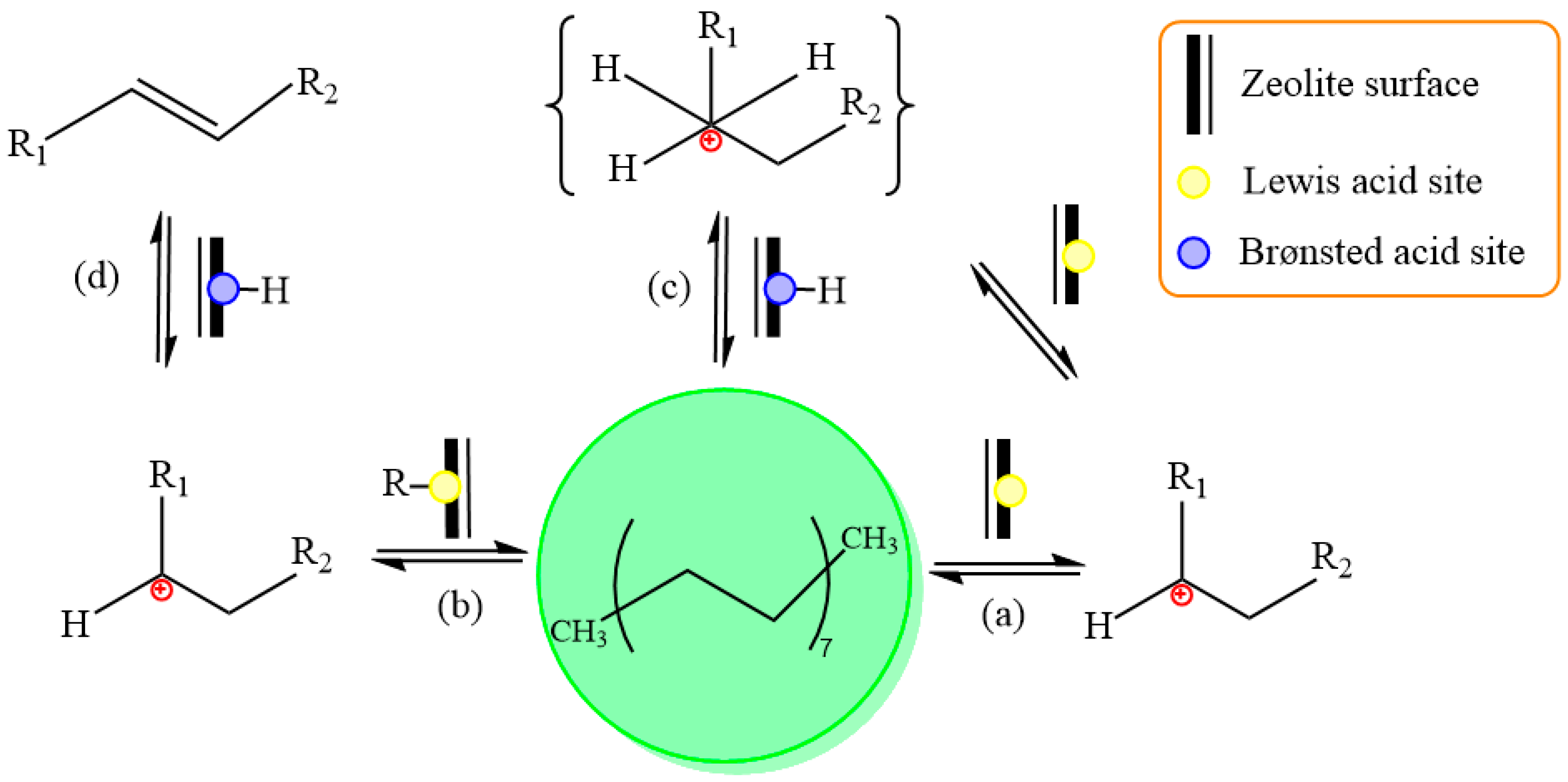 Catalysts 13 01363 g002