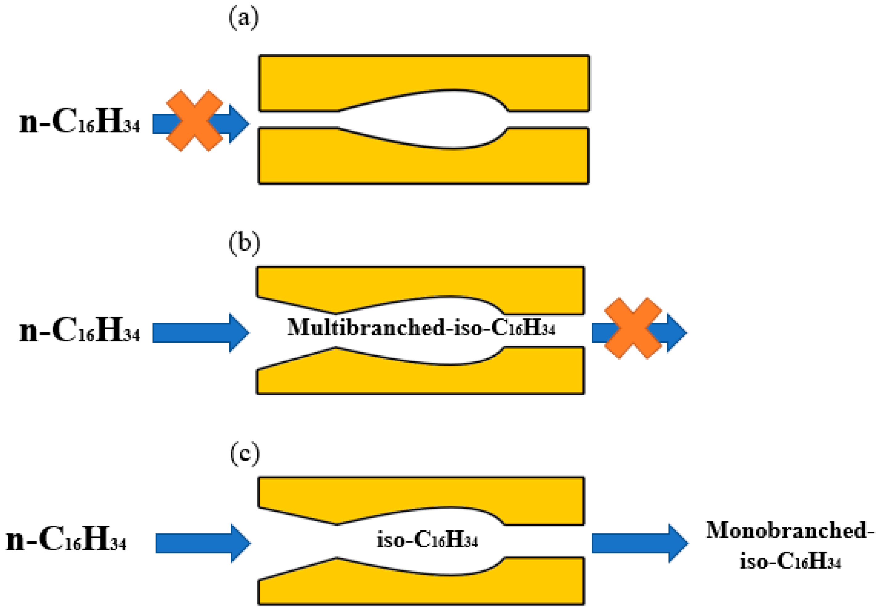 Catalysts 13 01363 g005