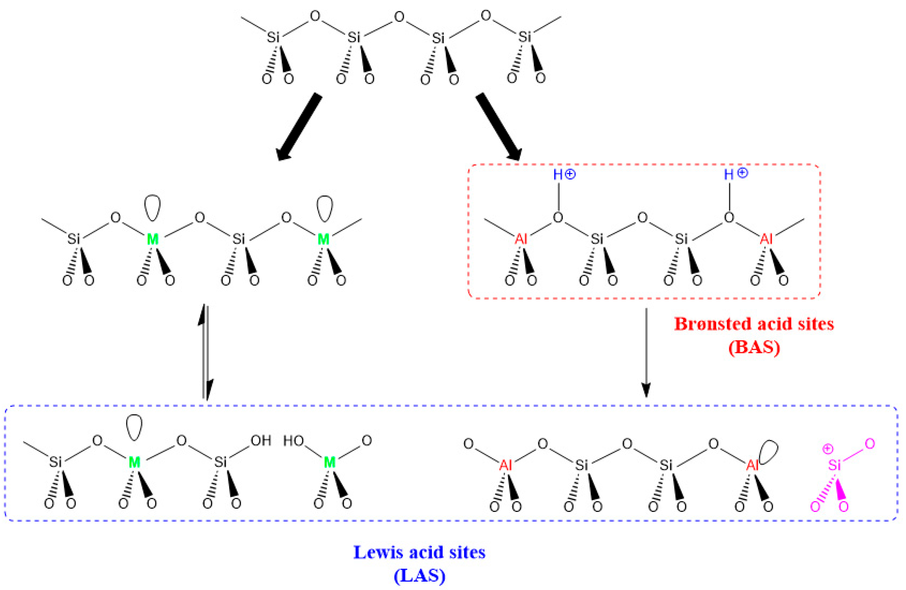 Catalysts 13 01363 g009
