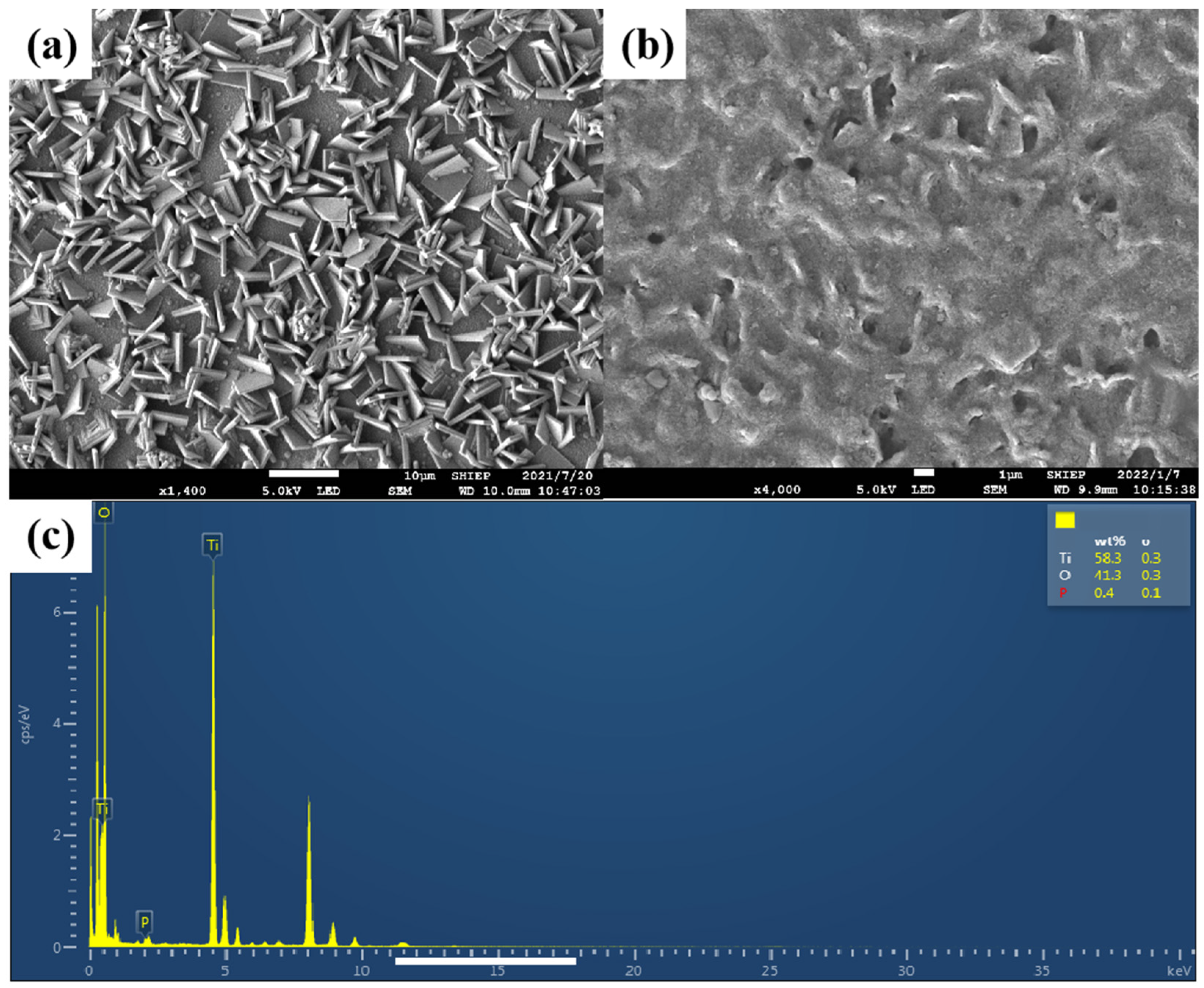 Catalysts 13 01368 g001 Catalysts 13 01368 g001