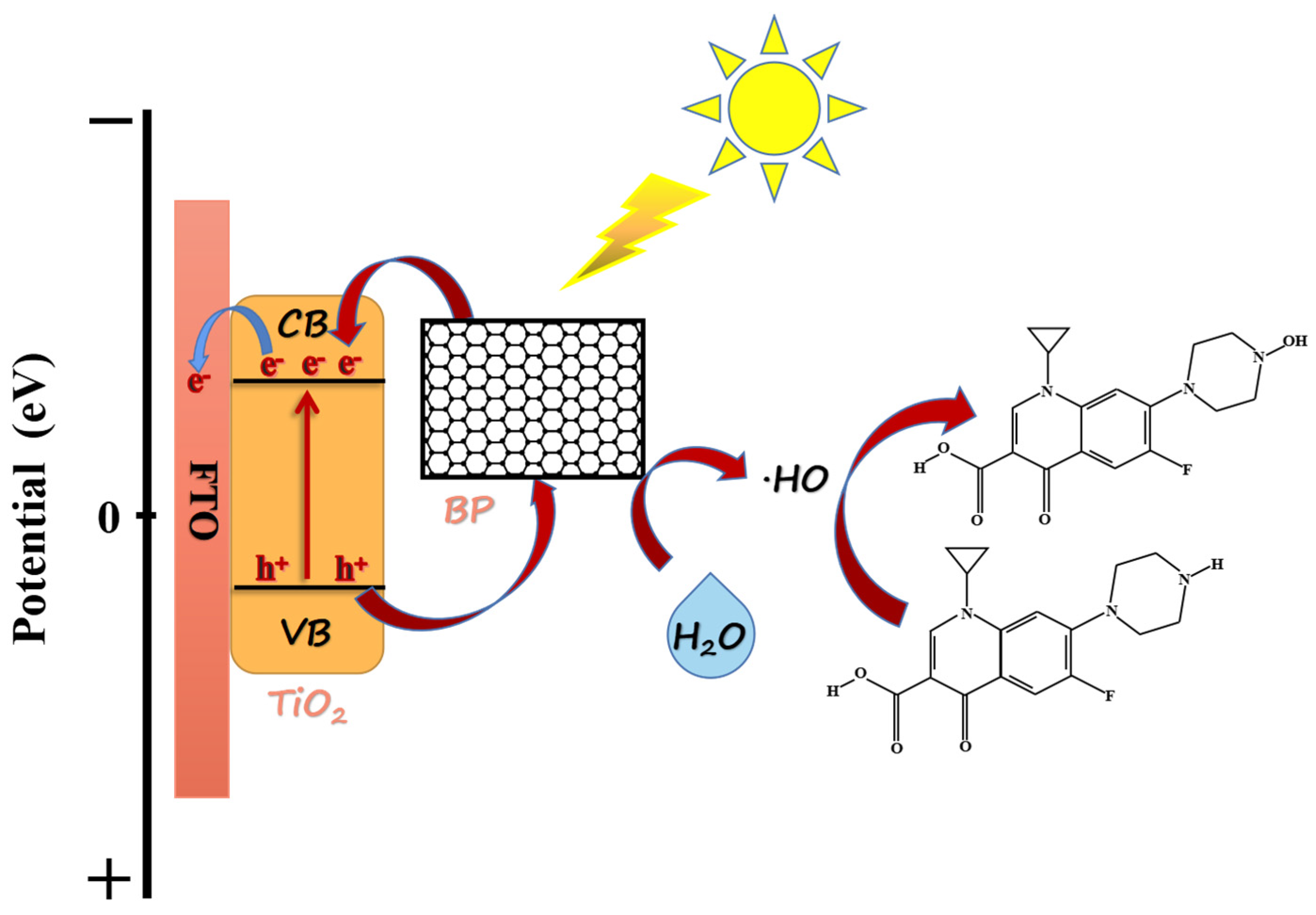 Catalysts 13 01368 g017 Catalysts 13 01368 g017